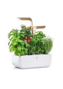 Veritable Véritable CONNECT Moonlight Gold - Binnen Tuin