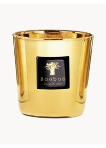Baobab COLLECTION Doftljus Exklusivt (Jasmin, Galbanum, Mysk)