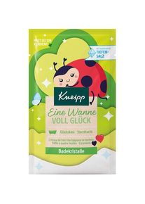 Kneipp Bath crystals Cristais de banho Uma banheira cheia felicidade Limpeza Female 60 g