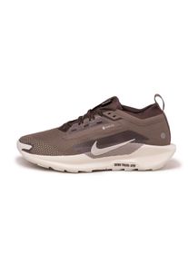 Nike Pegasus Trail 5 *Gore-Tex* SP, Mink Brown / Baroque Brown / Moon Particle