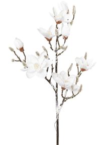Creativ light Kunsttak Kerst versiering Magnolia in besneeuwde look, 15 leds, 115 cm, batterij 3xAA kunsttakken wit
