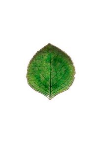 Costa Nova Asiet hydrangea leaf Riviera 17 x 15 cm Green/Black Ceramic