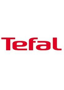 Tefal DT6131 vaporizador para ropa Cepillo a vapor 1300 W Azul, Blanco