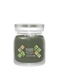 yankee candle - GIARA OLIVE CYPRESS Candele 368 g unisex