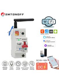 Tuay Smart life WiFi DC Smart Circuit Breaker 12V 24V 48Voverload short circuit protection with Alexa google home for Smart Home