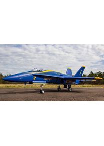 Freewing F/A-18C Hornet Blue Angels EPO 1034mm High Performance PNP