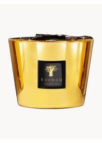 Baobab COLLECTION Exklusivt Doftljus med Fyra Vekar (Jasmin, Galbanum, Musk)