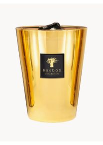 Baobab COLLECTION Eksklusivt duftlys med fem væger (jasmin, galbanum, moskus)
