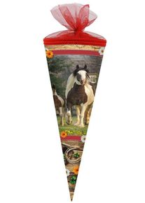 Nestler Paddock caballo cono escolar 22cm