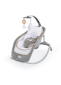 Ingenuity Rocking seat