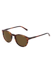 Polo by Ralph Lauren PH4110 | okulary przeciwsłoneczne | Kształt okularów: panto, tworzywo sztuczne, brązowy