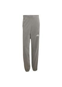 adidas Sportswear Spodnie sportowe 'All Szn' dla mężczyzn szary / srebrno-szary Rozmiar XS