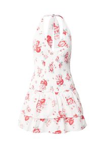 Hollister Dames Jurk pastelgroen / watermeloen rood / lichtrood / wit 34