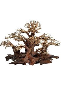 4FISH Tree roots Mini forest 30x16x20 cm