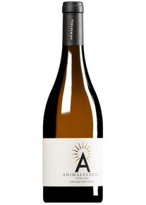 Contrada S. Spirito Animalucente Bianco Etna DOC 2024 (BIO)