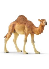 Schleich Wild Life Dromedary