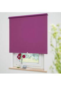 Liedeco Springrollo »Uni«, verdunkelnd, freihängend, Verdunkelung