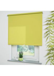 Liedeco Springrollo »Uni«, Lichtschutz, freihängend, lichtdurchlässig