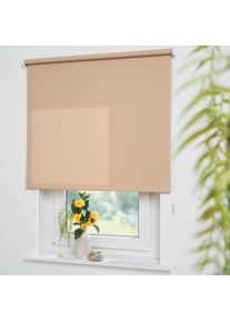 Liedeco Seitenzugrollo »Uni«, Lichtschutz, mit Bohren, freihängend, Montage ohne Bohren zum Klemmen mit separatem Klemmträger möglich