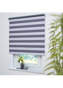 Liedeco Seitenzugrollo »Dekor Streifen«, Lichtschutz, ohne Bohren