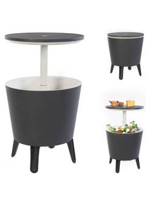 Keter Bijzettafel coolbar 50x57-85cm 30L wit-grijs