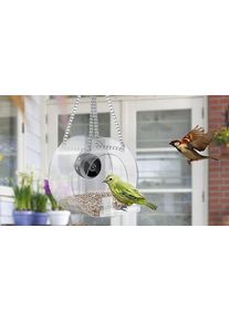 Smart Hanging Bird Feeder - 3 Styles, 2 Options