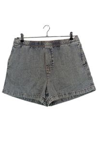 Zara Jeansowe szorty Damski, Rozmiar 40, jasnoszary