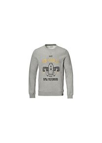 BMW Luchtgekoeld Sweatshirt Heren (grijs)