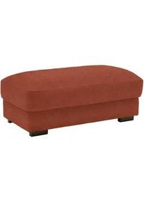 Hocker Pedro Braun
