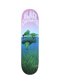 Toy Machine Carpenter Manatee 8.38" Skateboard Deck multi