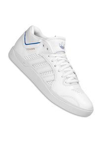 Adidas Skateboarding Tyshawn Shoes bluebird gold men US 12