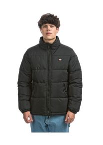 Dickies Waldenburg Jacket black men L