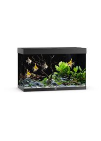 JUWEL Rio 290 LED Aquarium Schwarz