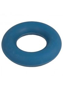 Black Diamond Forearm Trainer Grip trainer blue