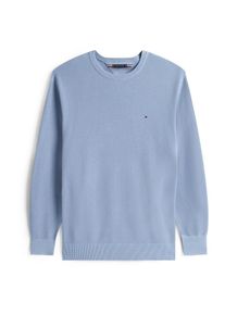 Tommy Hilfiger Big & Tall Tommy Hilfiger Big & Tall Heren Trui 'ESSENTIAL' lichtblauw XXL