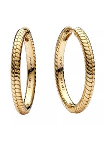 Pandora Gioielleria - Pandora Moments Charm Hoop Earrings