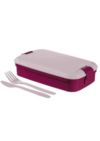 curver Picnic box LUNCH & GO 1,3L | fialová