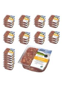 ProCani buy nature Ente Carnivor 32x500 g