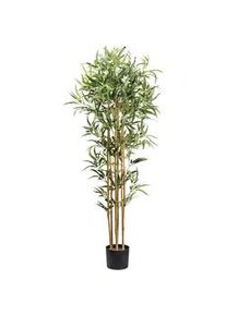 P & B Kunstpflanze , Grün , Kunststoff , 155 cm , mit Naturstamm , Dekoration, Blumen & Blumentöpfe