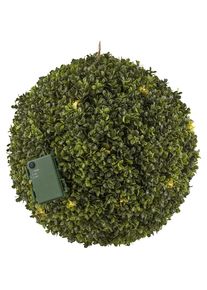 Sfera di bosso - kaiserkraft