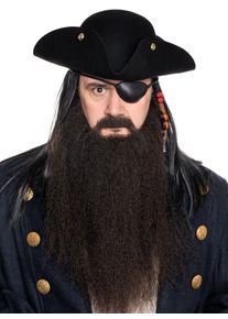 Barbe de pirate
