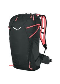 Salewa Mountain Trainer 2 25 Walking backpack black
