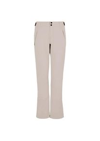 Protest Women's Prtrelole Snowpants Ski trousers Women (34, grey)