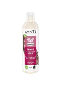 Sante Naturkosmetik Champôs para cabelos lisos Glossy Shine Shampoo Female 250 ml