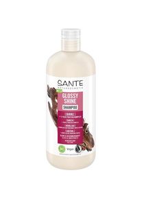 Sante Naturkosmetik Champôs para cabelos lisos Glossy Shine Shampoo Female 500 ml