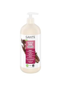 Sante Naturkosmetik Champôs para cabelos lisos Glossy Shine Shampoo Female 950 ml