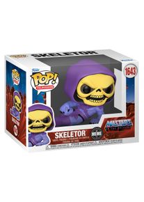 Masters Of The Universe - Skeletor POP! Viny - Figur - mångfärgad - Onesize - 100% PVC,Syntetmaterial
