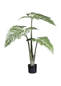 Pianta artificiale Colocasia White Lava - kaiserkraft