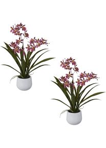 Pianta artificiale Orchidea Cambria - kaiserkraft