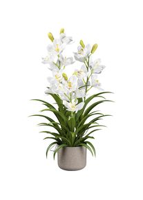 Orchidea artificiale Cymbidium - kaiserkraft